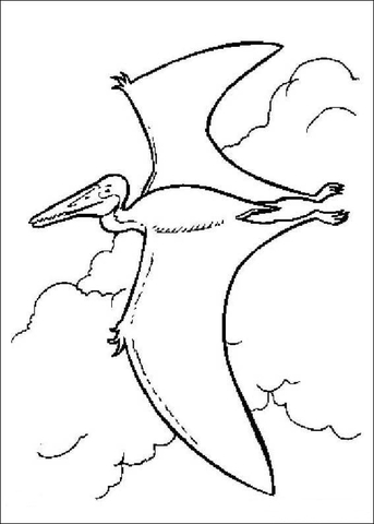 Pterodactyl Is Flying  Coloring Page